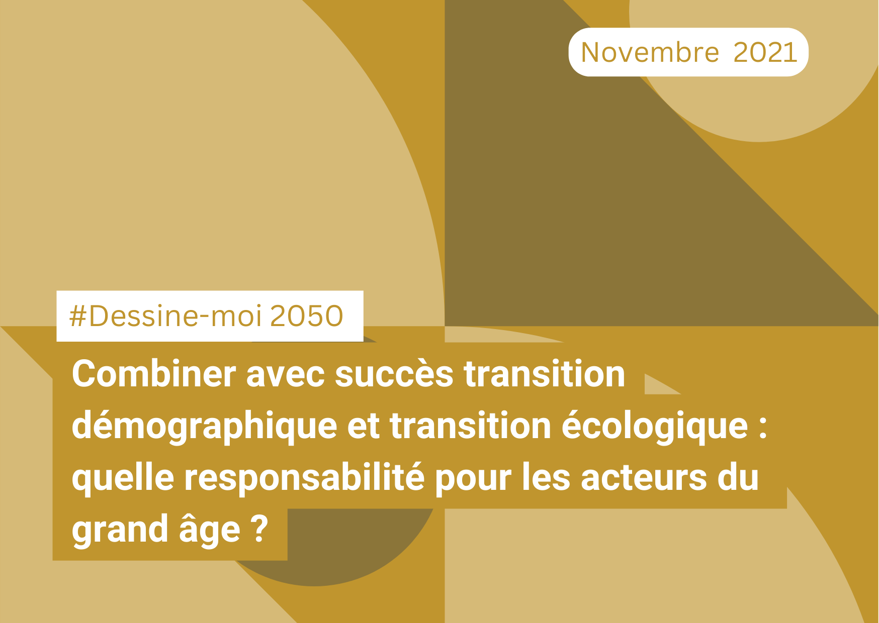 "Combiner avec succès transition démographique et transition écologique : quelle responsabilité pour les acteurs du grand-âge ?" #DessineMoi2050 (23/11/21)